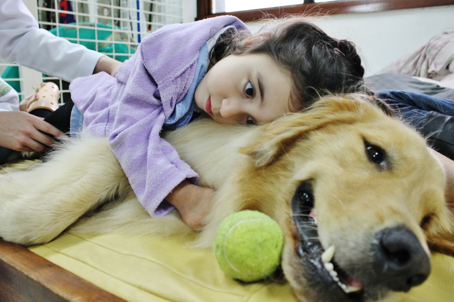 Pets e a terapia assistida